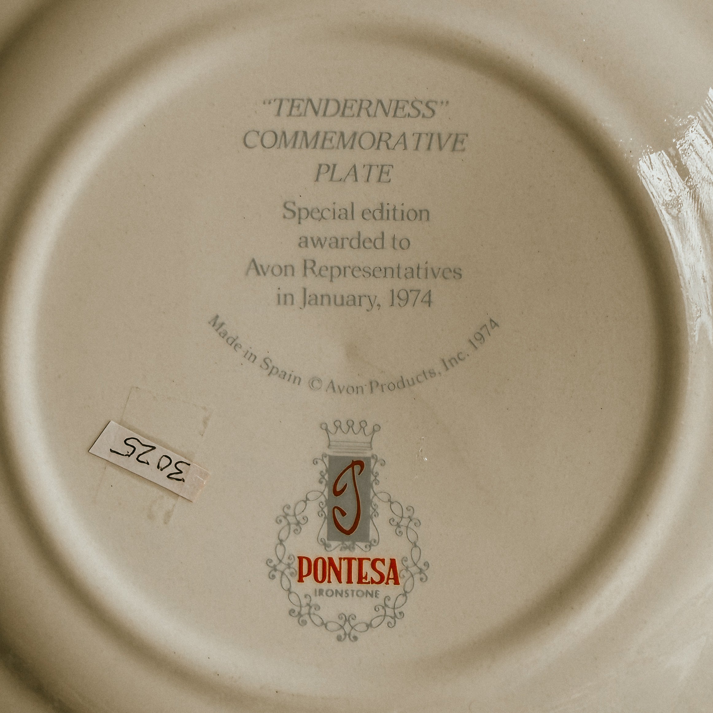 Avon "Tenderness" Special Edition 1974 Vintage Award Plate - Pontesa Ironstone Spain - Collectible Motherhood Decor