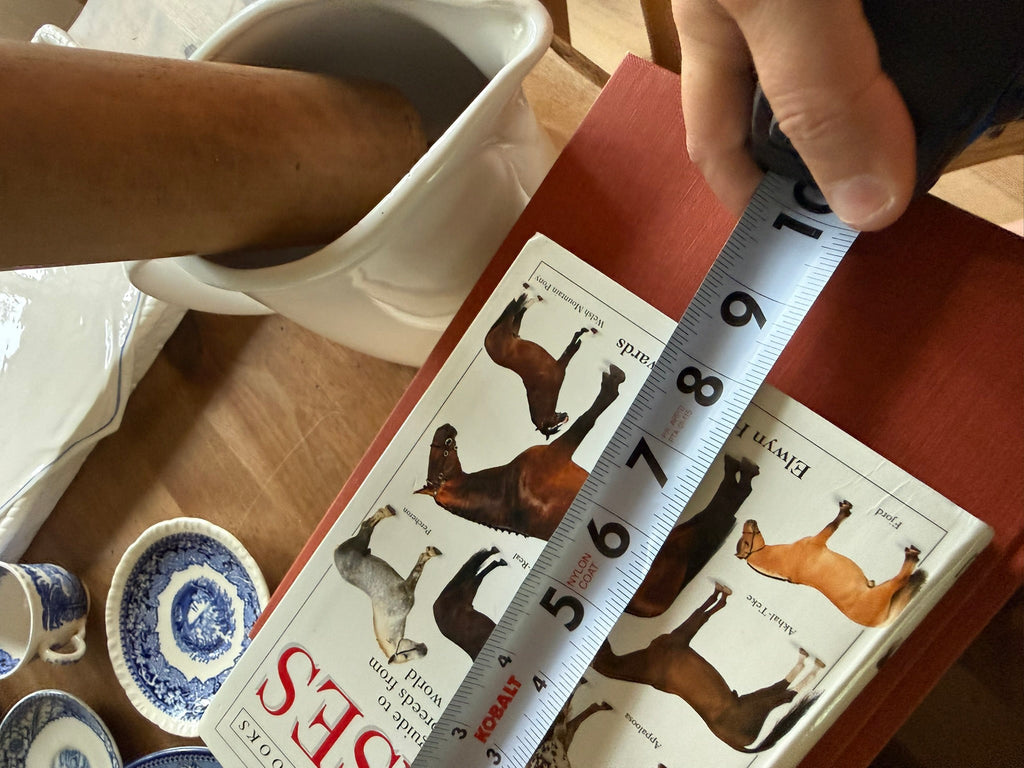 1993 DK Eyewitness Handbooks: Horses Hardcover – Visual Breed Encyclopedia Guide by Elwyn Hartley Edwards